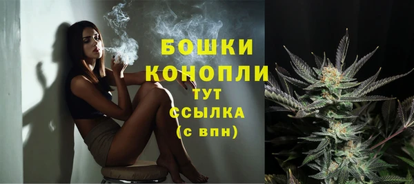 гашик Няндома