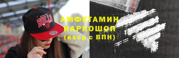 СК Новодвинск