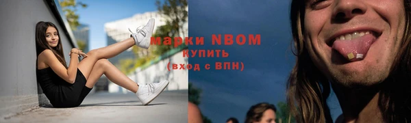 СК Новодвинск
