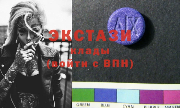 гашик Няндома