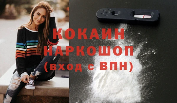 гашик Няндома