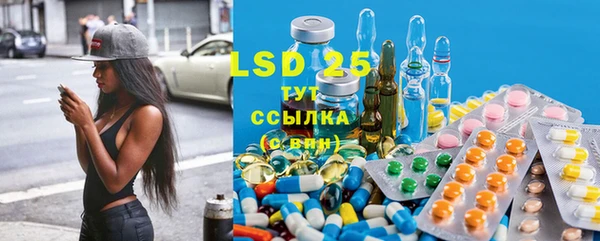 герыч Новозыбков