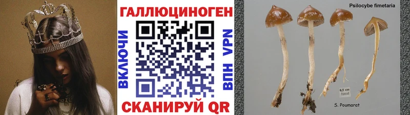 наркота  Ряжск  Галлюциногенные грибы мицелий 